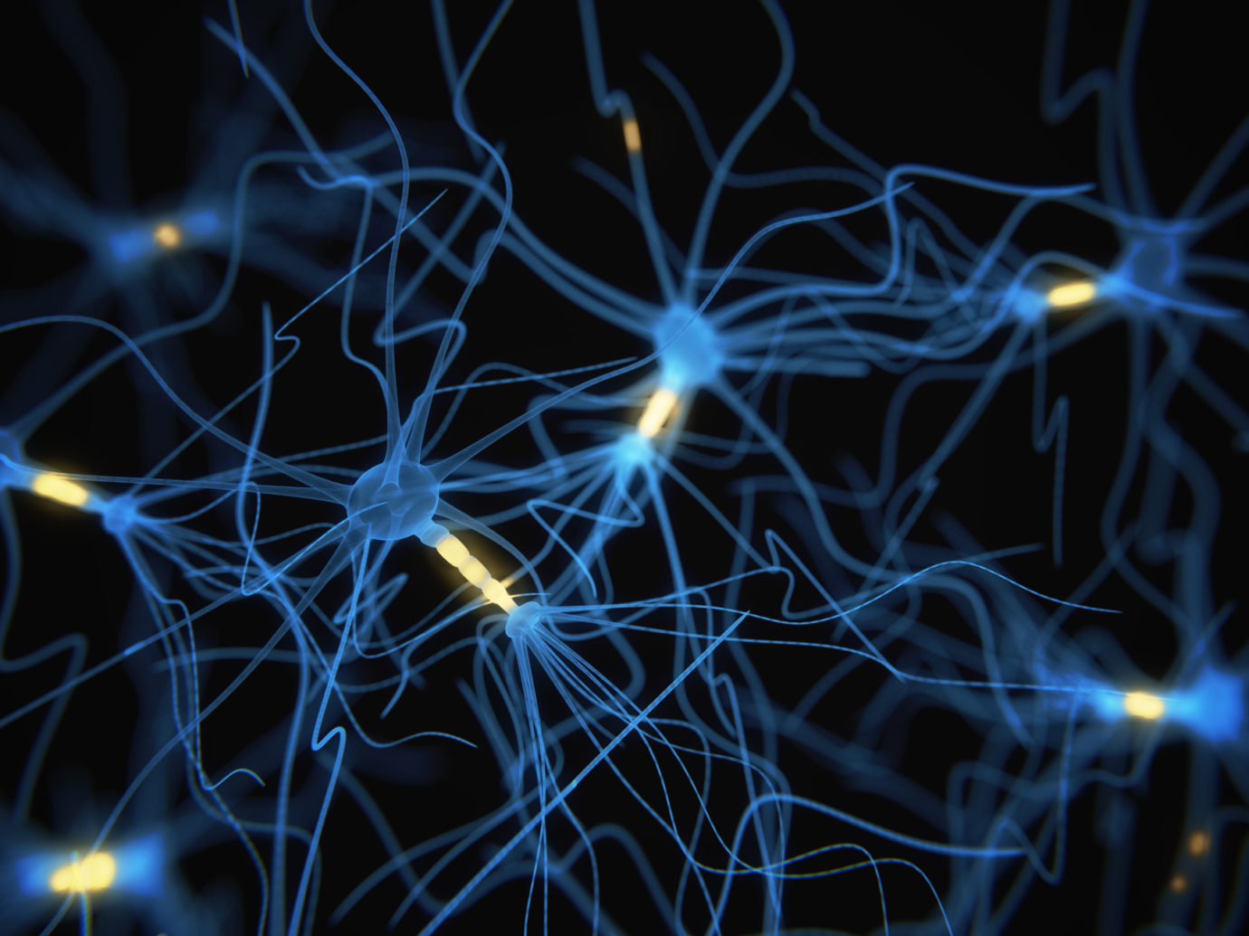 Neuron cells network on black
