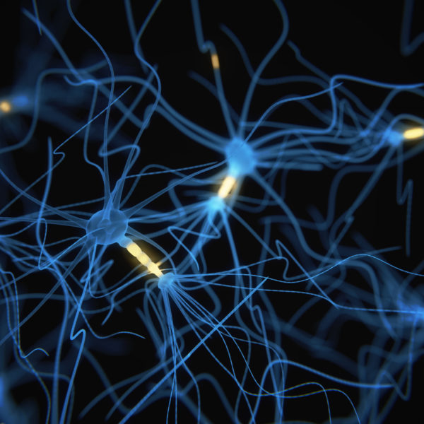 Neuron cells network on black